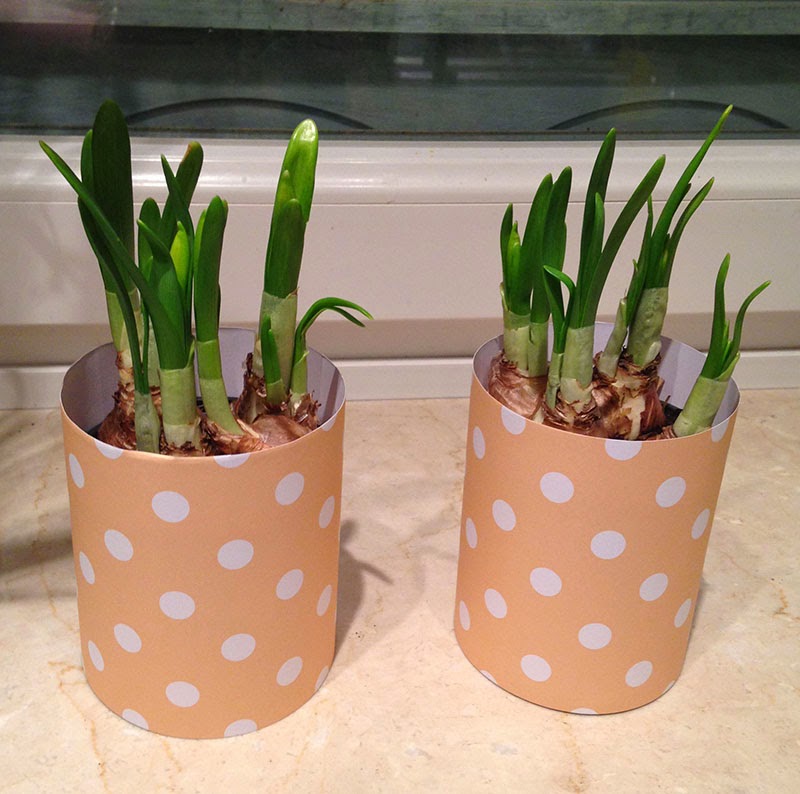 handcraftmarie Einfache BlumentopfPapiermanschette! Simple flower pot