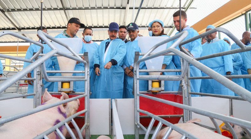 Danilo entrega granja porcina a la Asociación de Porcicultores de Cumayasa