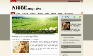 Niobe WordPress Theme