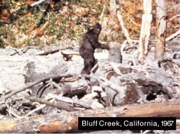Bluff Creek California
