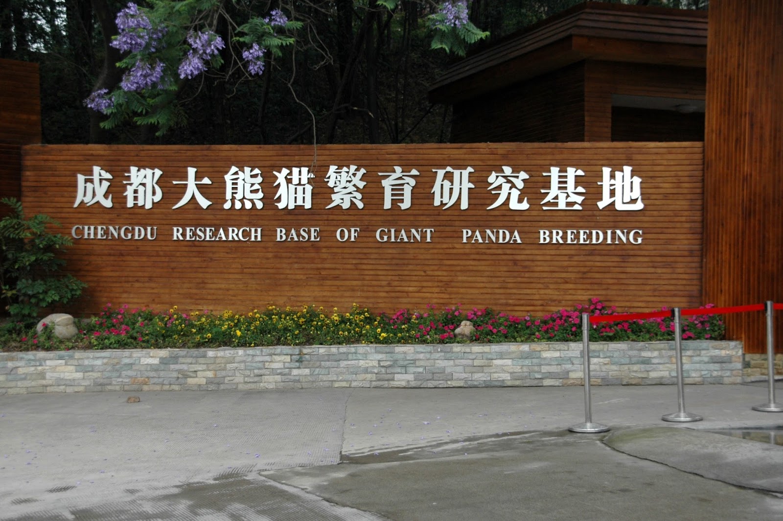 Sleep Research Facility Stealth Rare Sleep Research Facility Stealth Rare