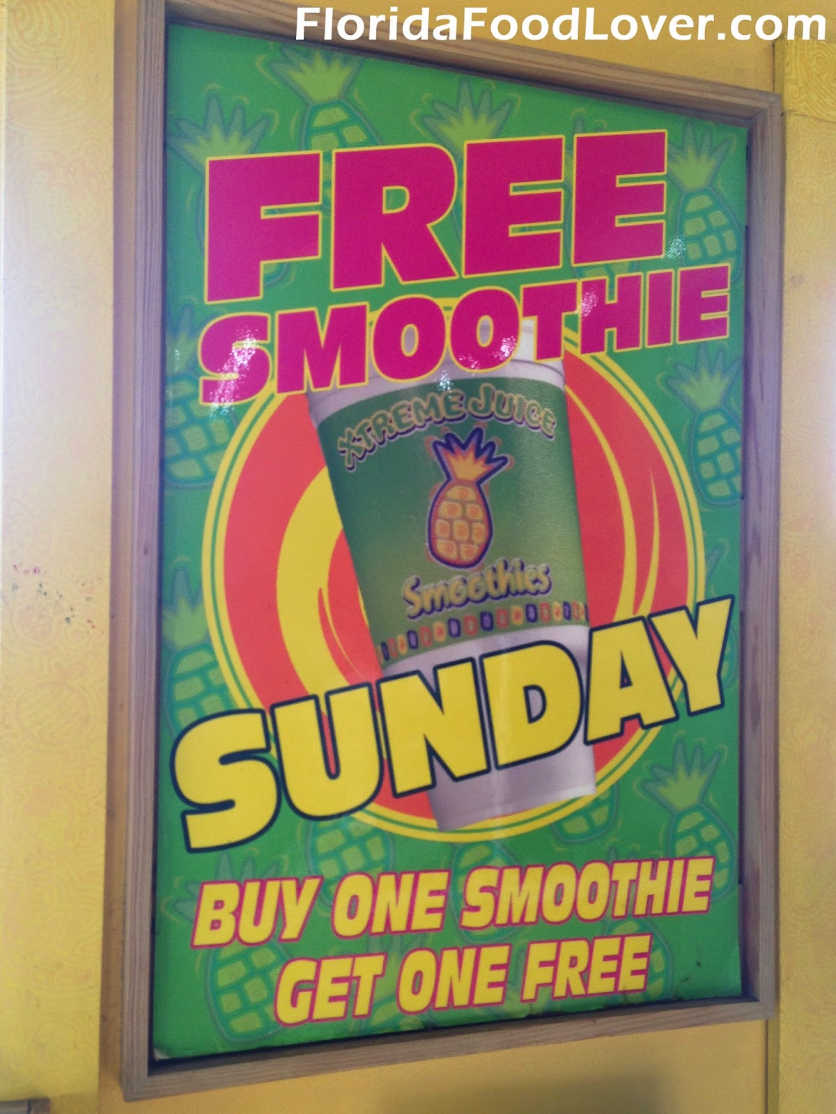 Florida Food Lover Xtreme Juice Tampa, FL