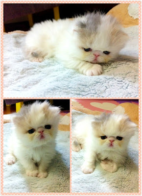 /></a></div> </div> </div> </div> </div> </div> </div> </div>