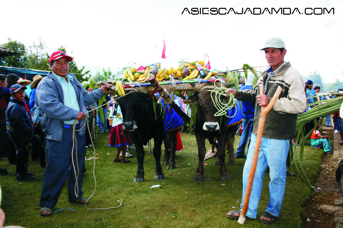 Fotos de la fiesta de San Isidro Labrador en la Pampa - Cajabamba
