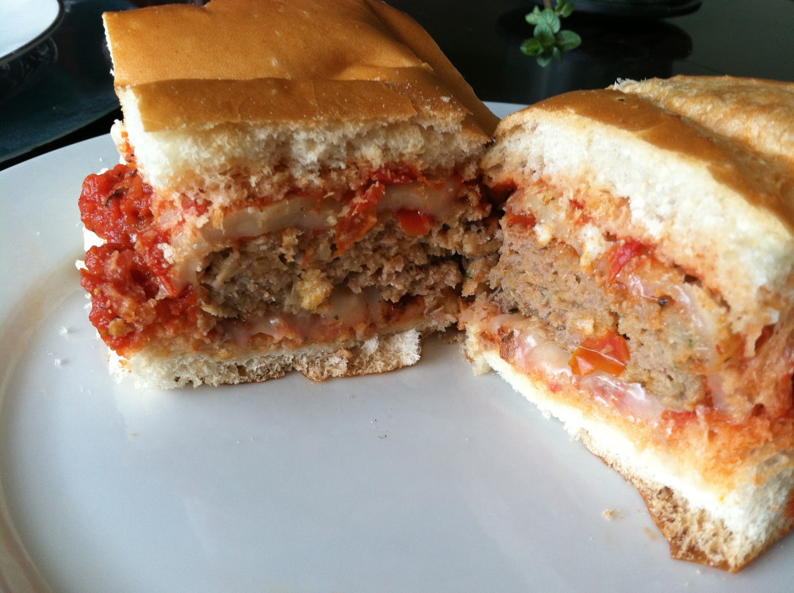 Geology and Life A Journey with the Walker's Meatball Sandwiches