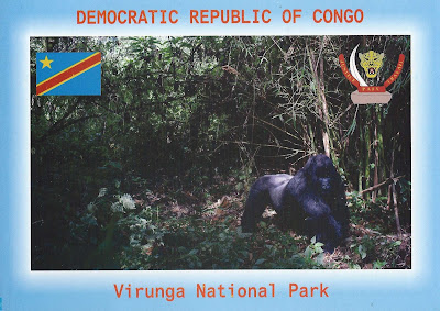 Virunga mountain Gorillas