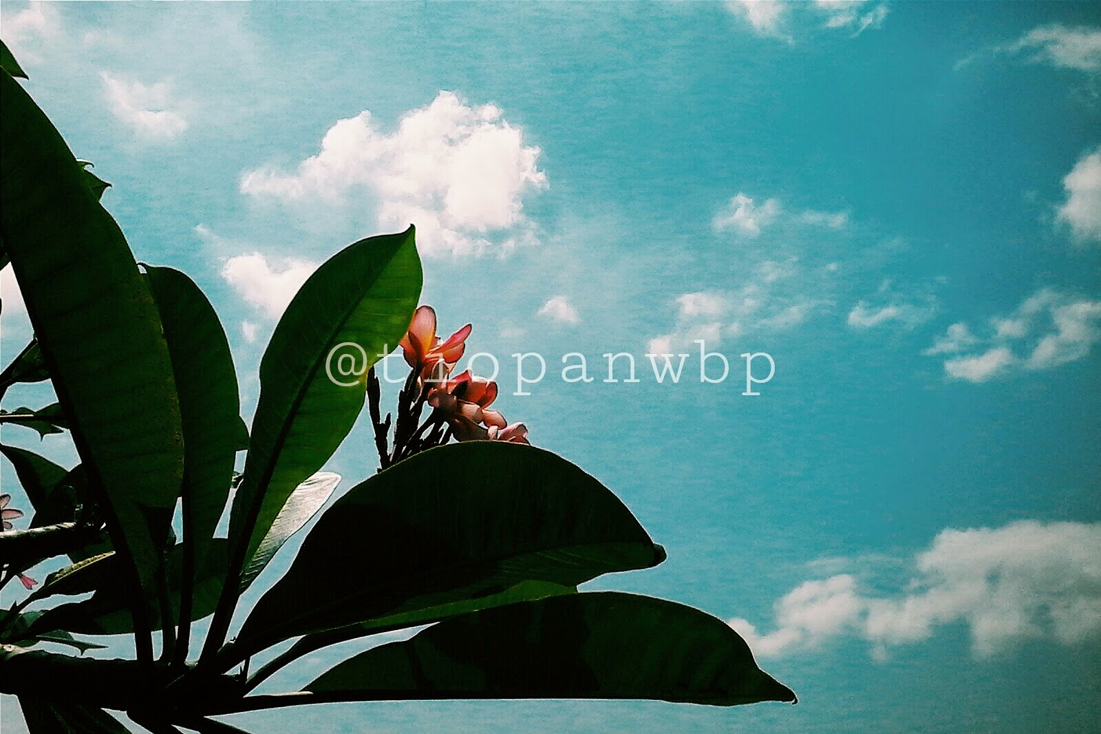 Tiopanwbp's Blog: Pemancingan & Restoran Mina Kencana ...