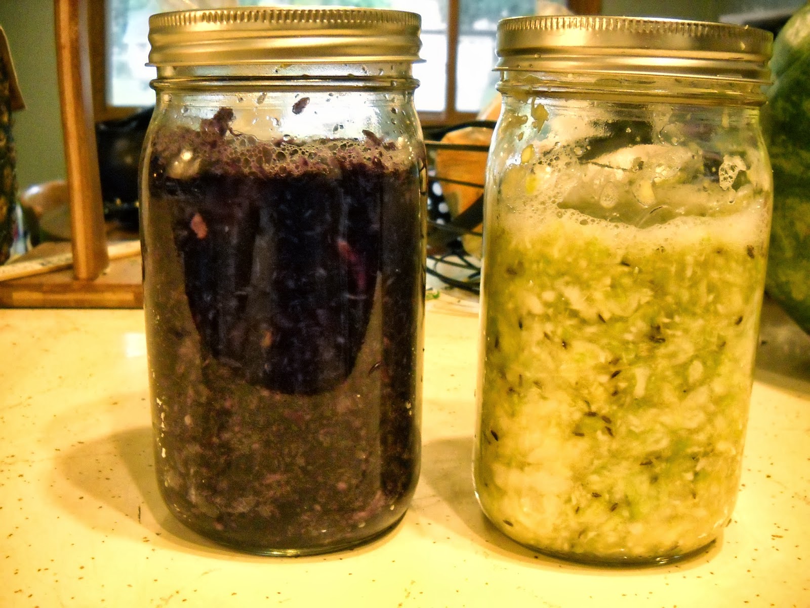 Day by Day Homesteading The Art of Creating Resiliency, One Day at a