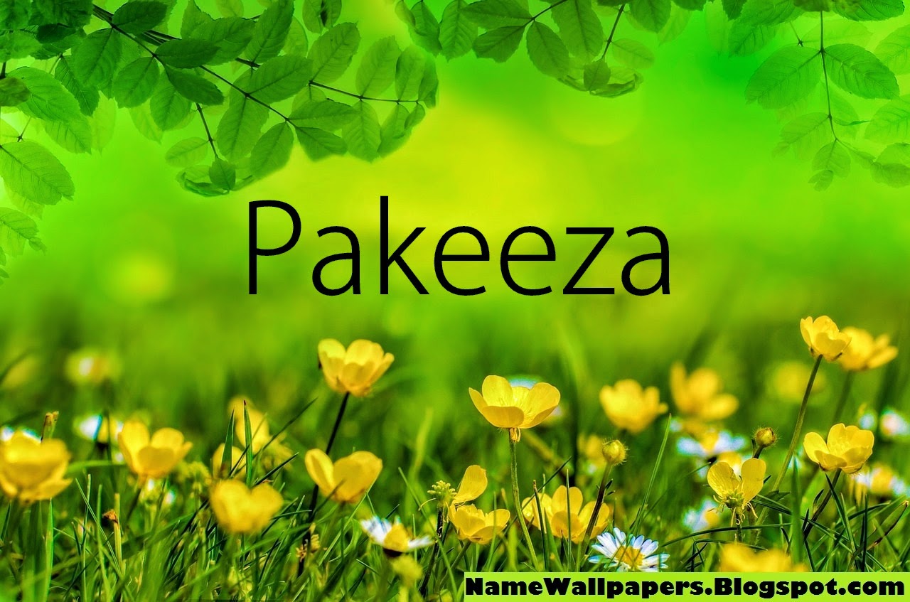 Pakeeza Name Wallpapers Pakeeza Name Wallpaper Urdu Name Meaning Name Images Logo Signature Pakiza has excelled in the retail business through its innovative and revolutionary thinking and most importantly for taking retail industry in madhya the foundation of this multi brand pakiza, is based on emotional connect with the consumers. name wallpaper urdu name meaning name images logo signature