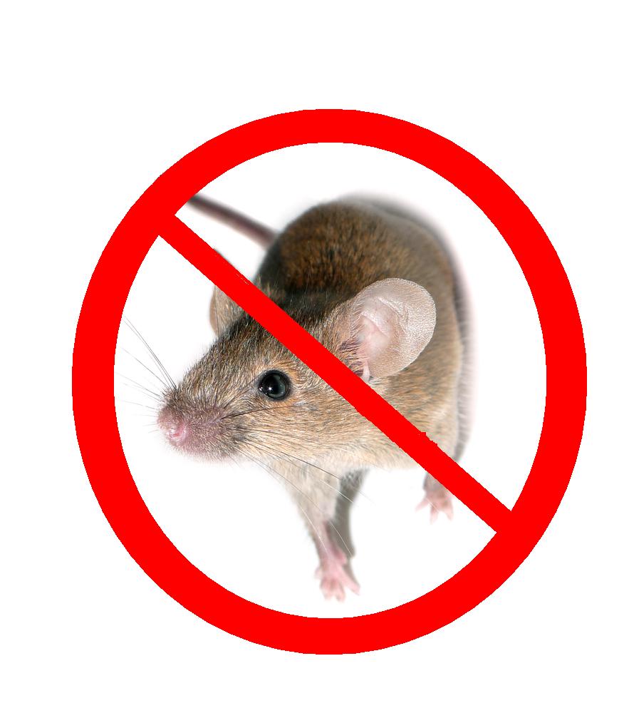 Pacy Crochets Natural Ant and Mice Repellant