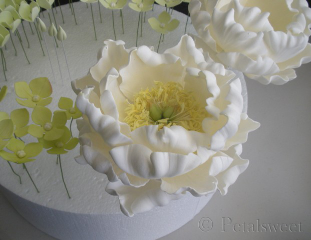 The Petalsweet Blog Petalsweet Sugar Flower Classes Update For