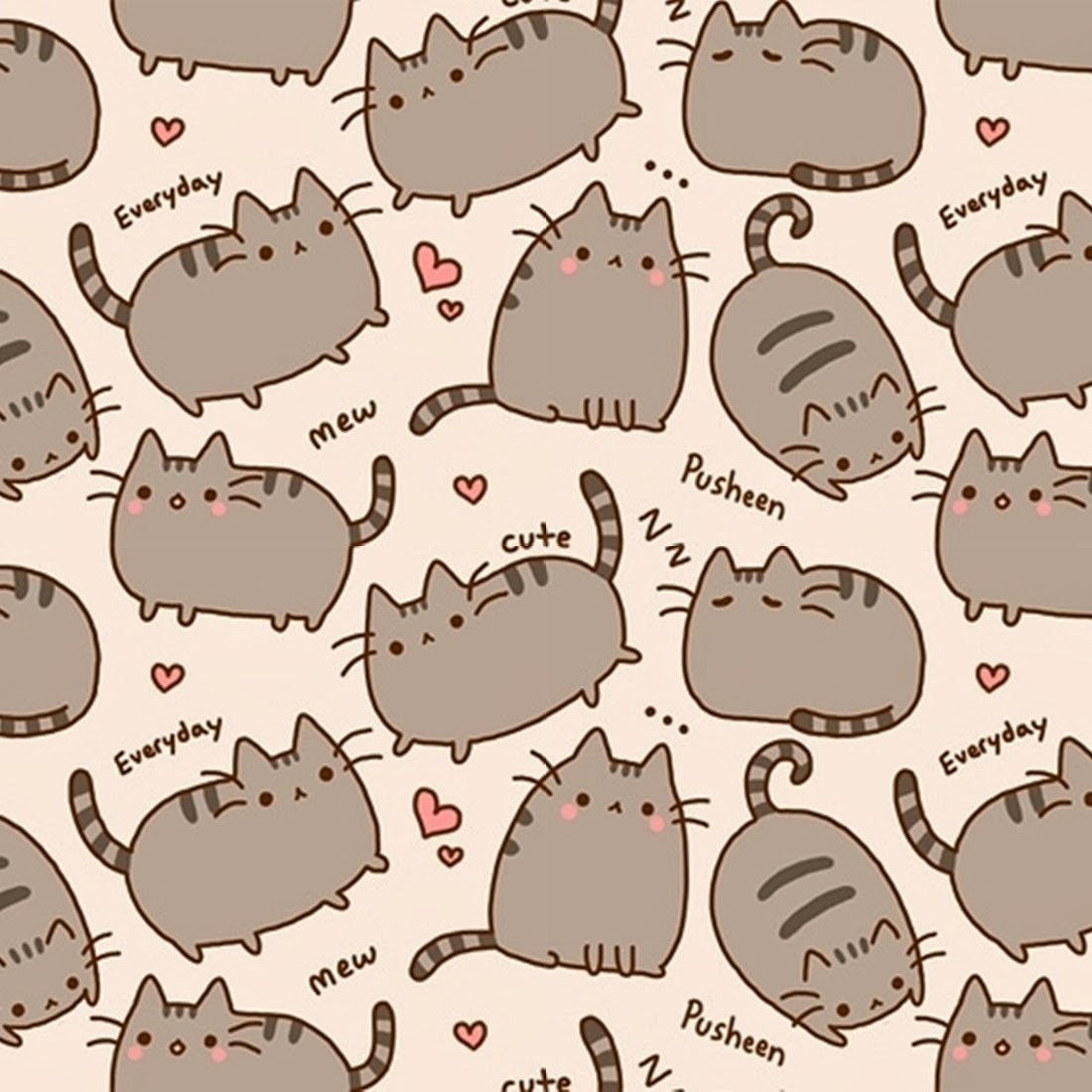 Download Sushi Cat Game Download Sushi Cat Game