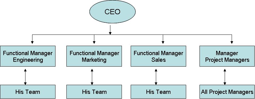 project management organizational structures functional