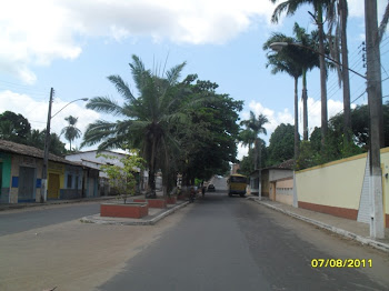 Avenida Manoel Inácio