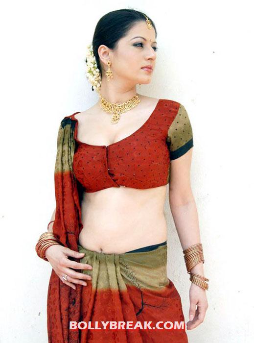 charu arora 1 - (2) - Charu Arora Navel Show Hot!!!