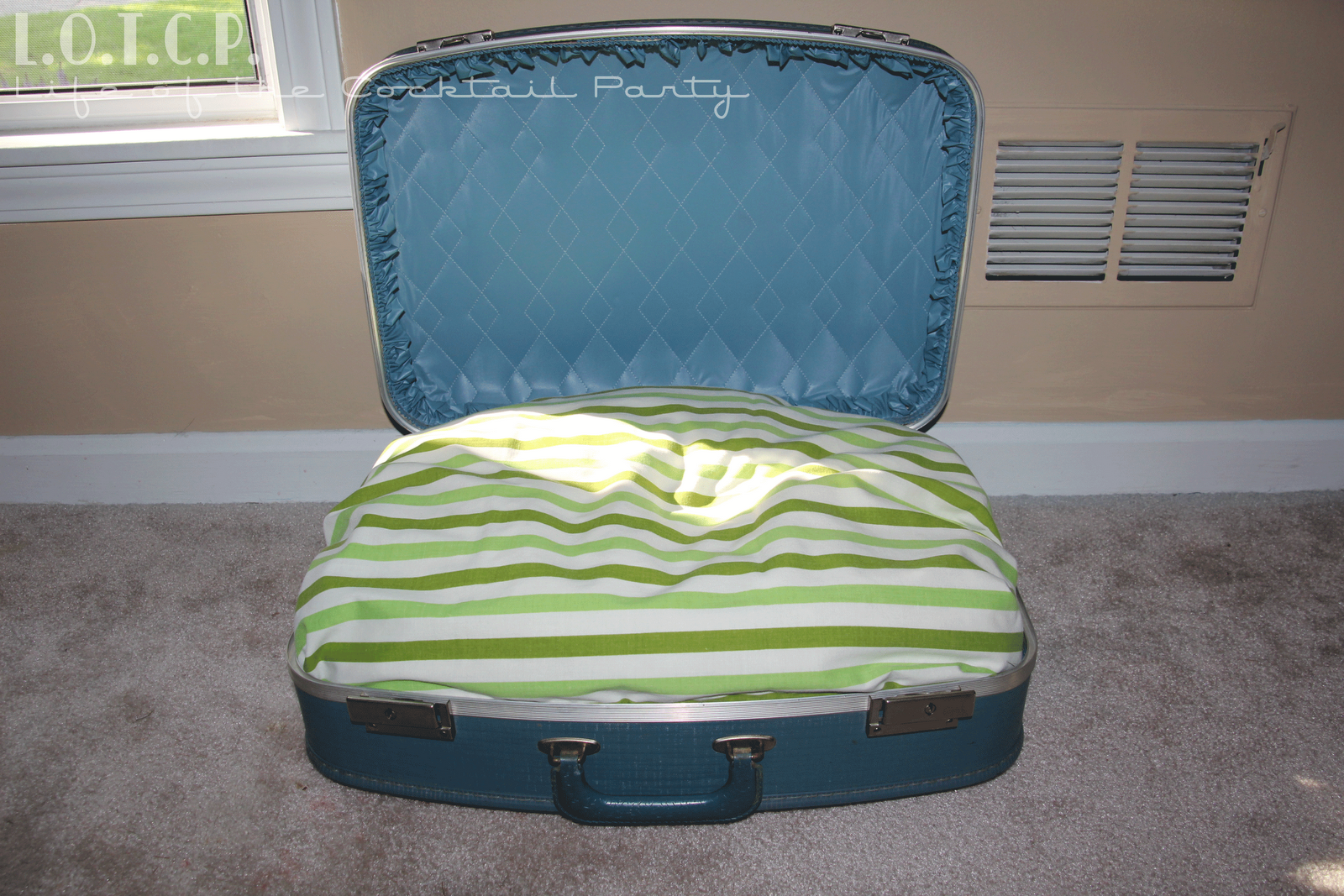 Lesley Stein Design Quick and Easy Cat Bed