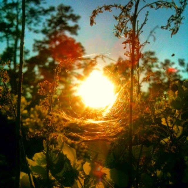 Diana Wynne Jones Author of Howls Moving Castle