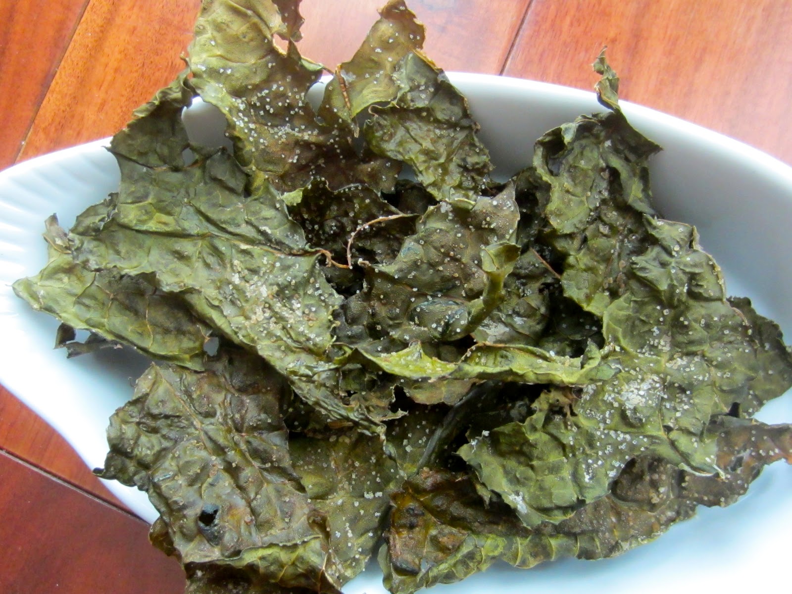Little Bungalow Eats Dinosaur Kale Chips