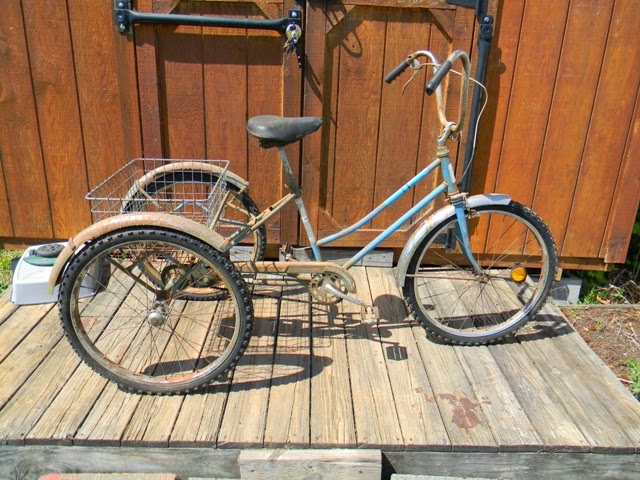 vintage three wheel bike