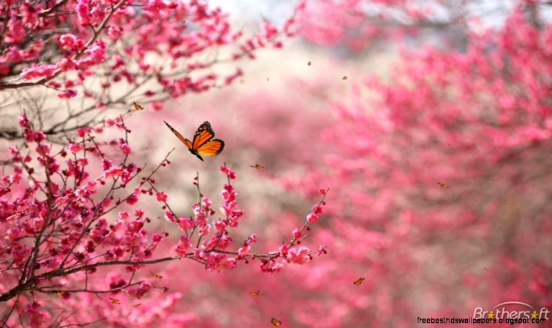 Download Free Beautiful Nature Screensaver Beautiful Nature Download Free Beautiful Nature Screensaver Beautiful Nature