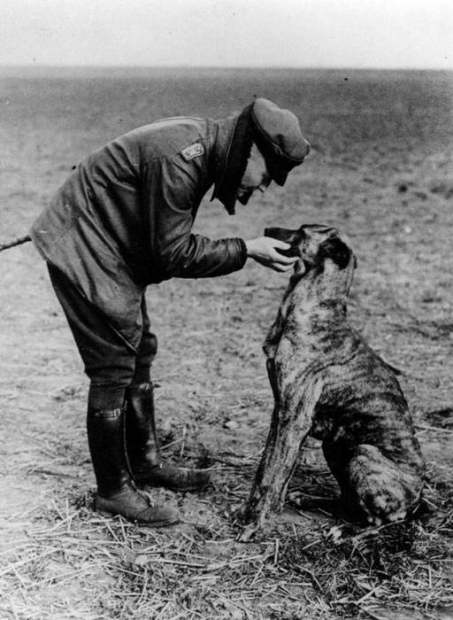 [Imagem: amazing_moments_in_history_10.jpg]