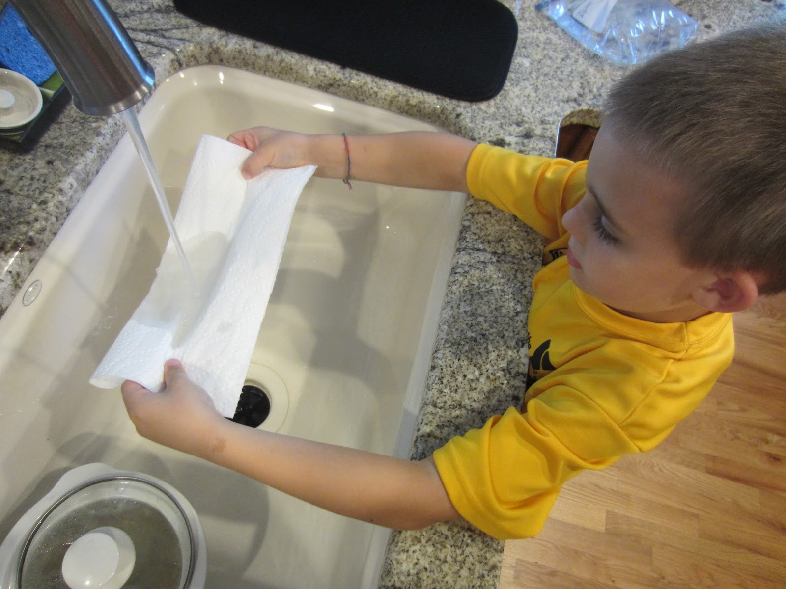 Relentlessly Fun, Deceptively Educational Growing a Bean in a Bag