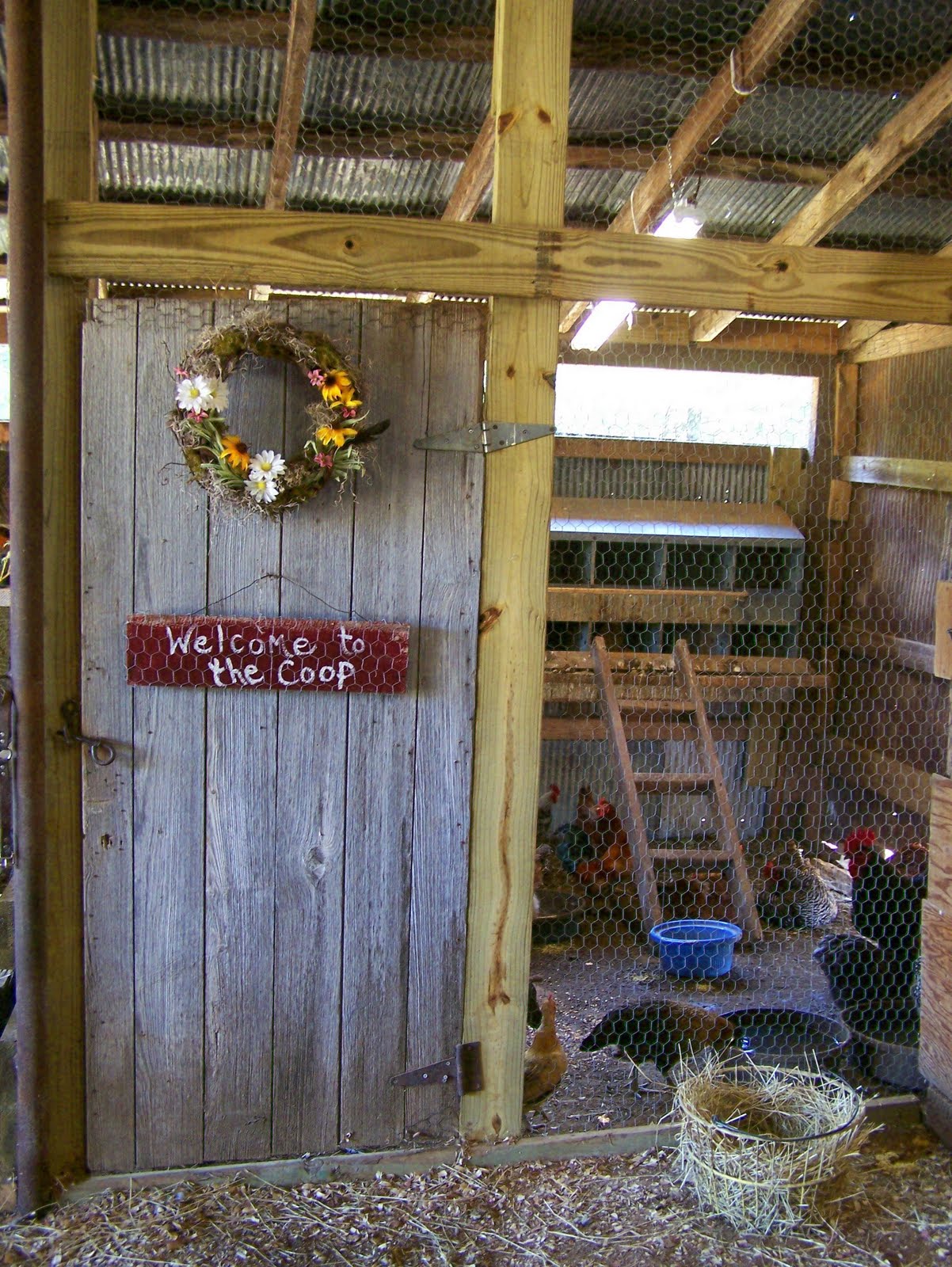 Shabby Olde Potting Shed Chicken Coop and Barn Makeover Progress