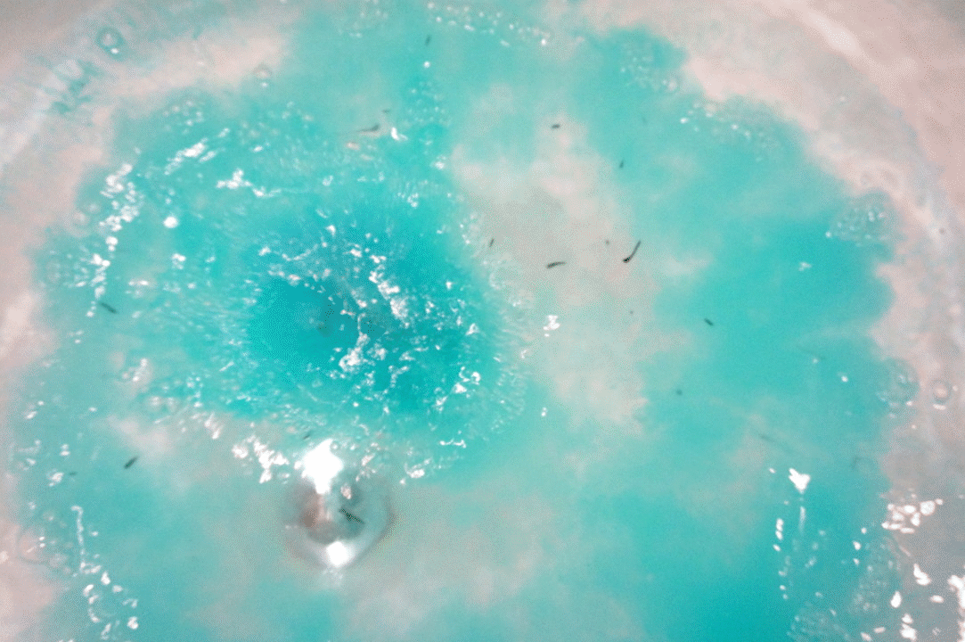 Lush Big Blue Bath Bomb Based On