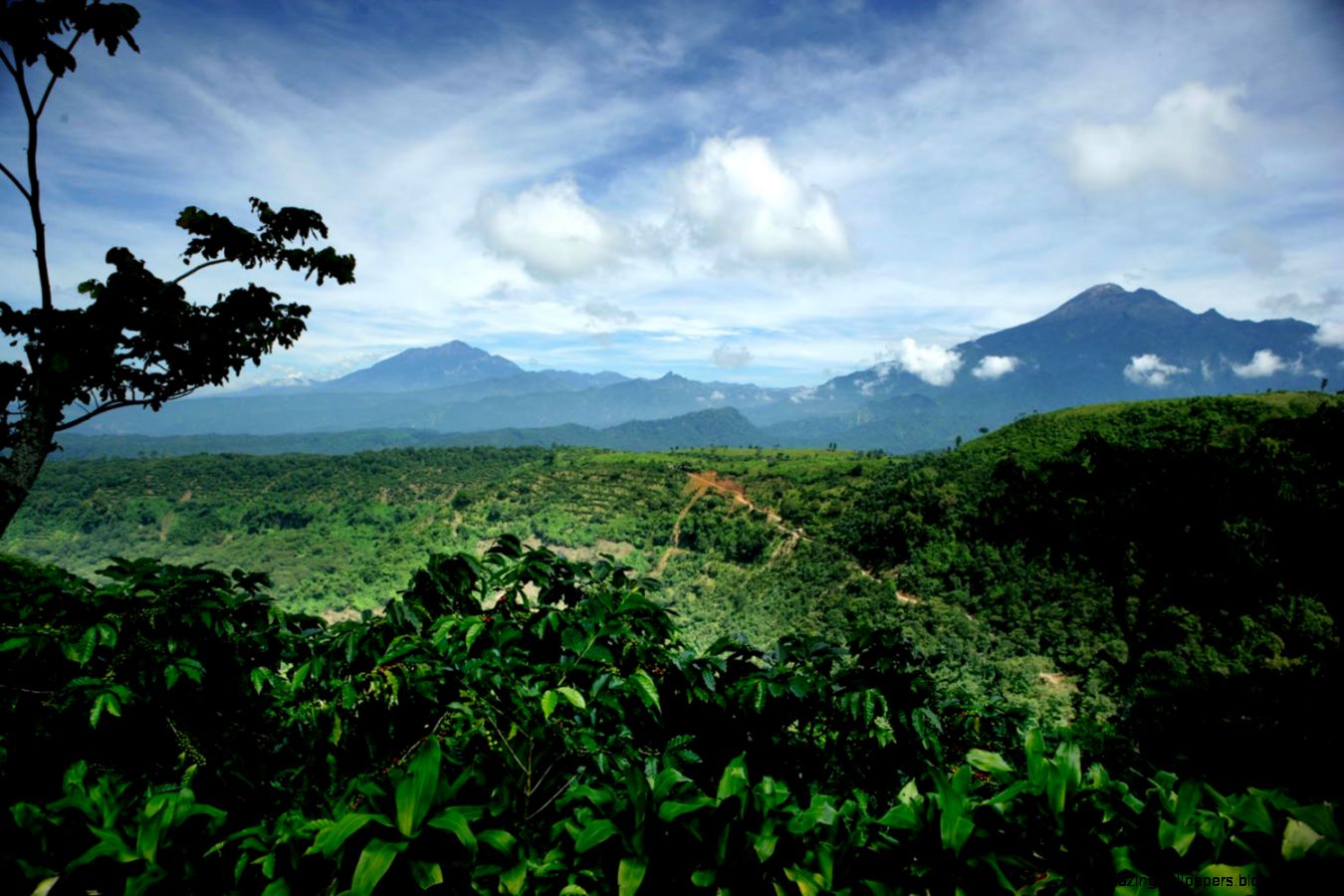 How Can Sustainable Farming Help Combat Global Climate Change How Can Sustainable Farming Help Combat Global Climate Change