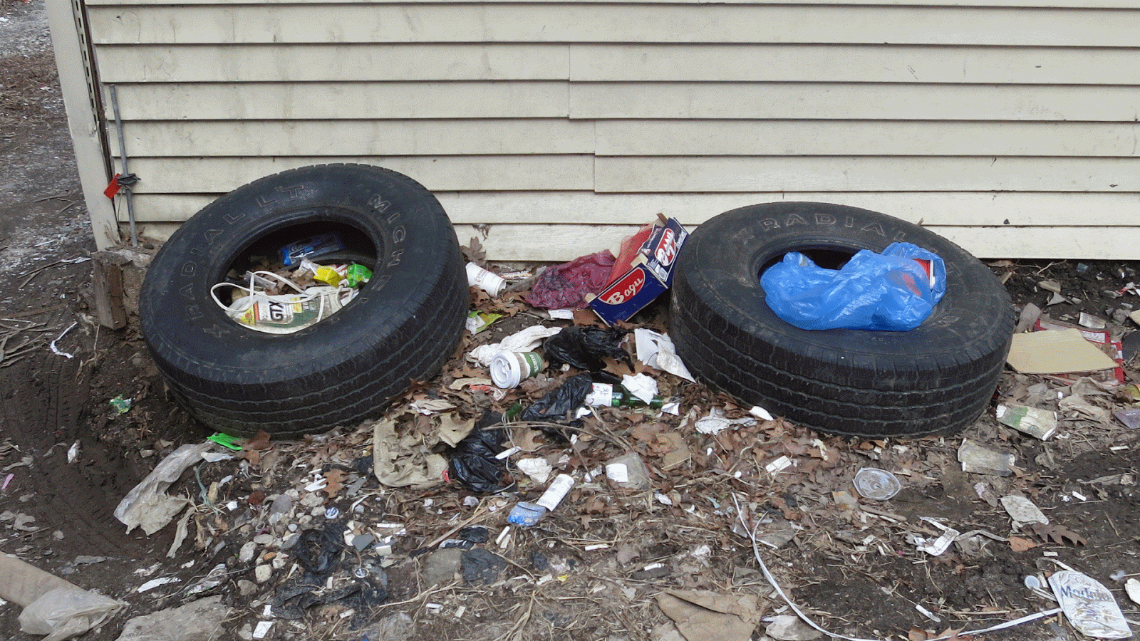 Frankie's Apartment February 2013