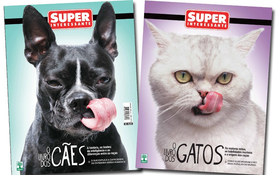 Revista superinteressante gatos