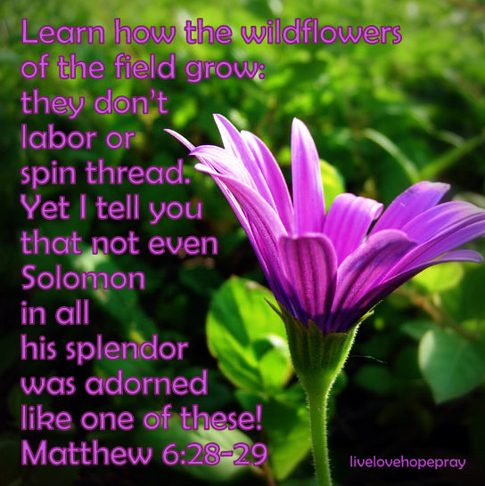 live love hope pray January 2013