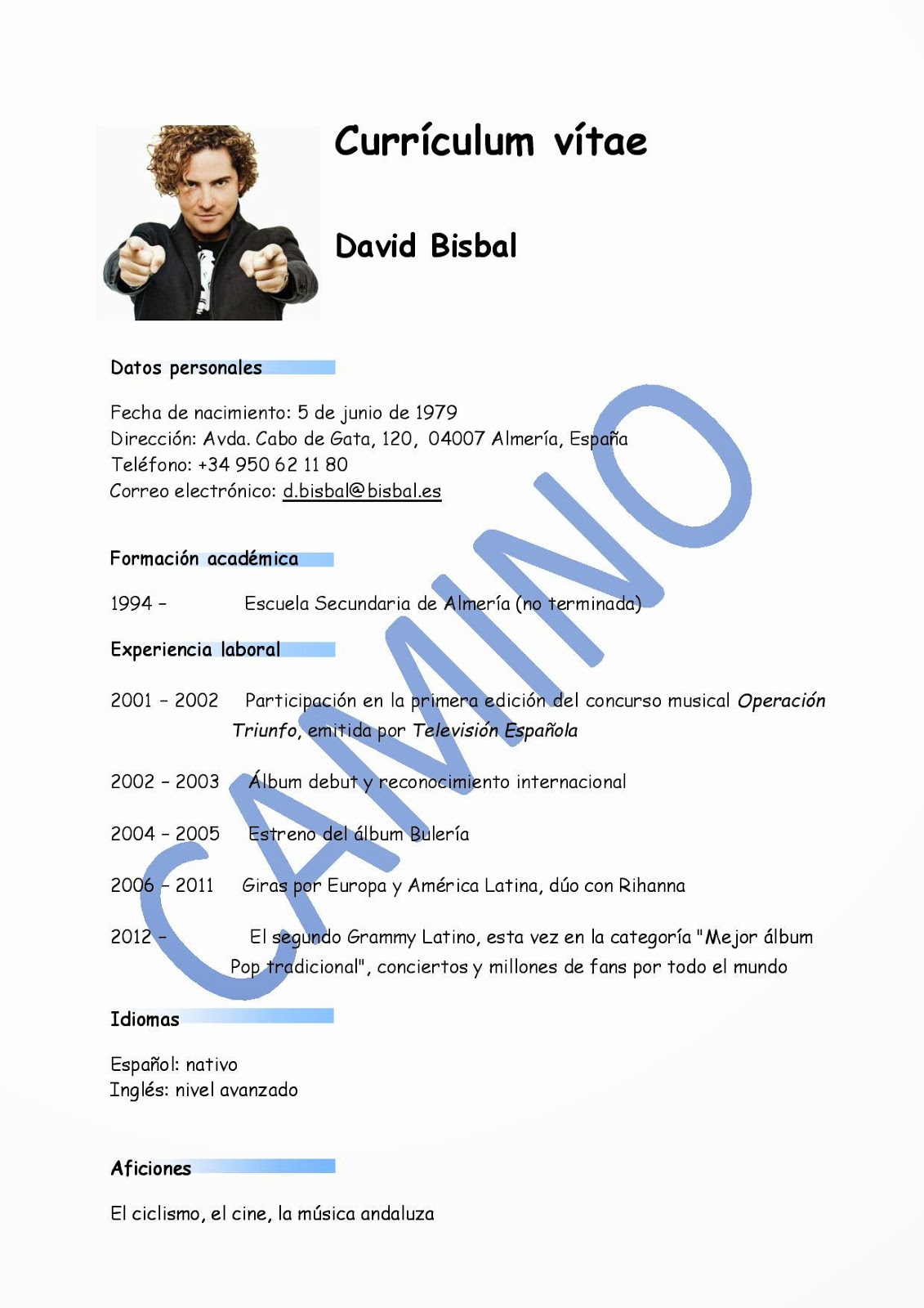 Curriculum vitae messi image