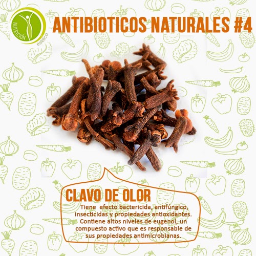 Nutricion Estetica: Antibióticos naturales para tratar Nutricion Estetica: Antibióticos naturales para tratar