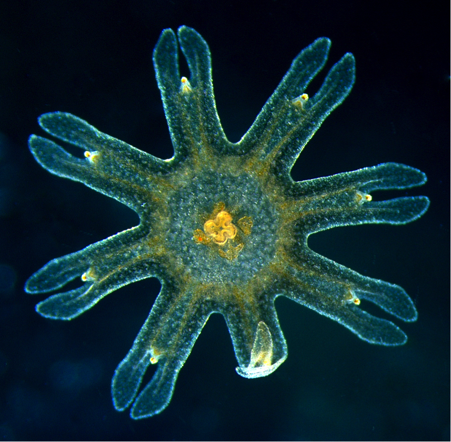 Exhibit Galleries Blog