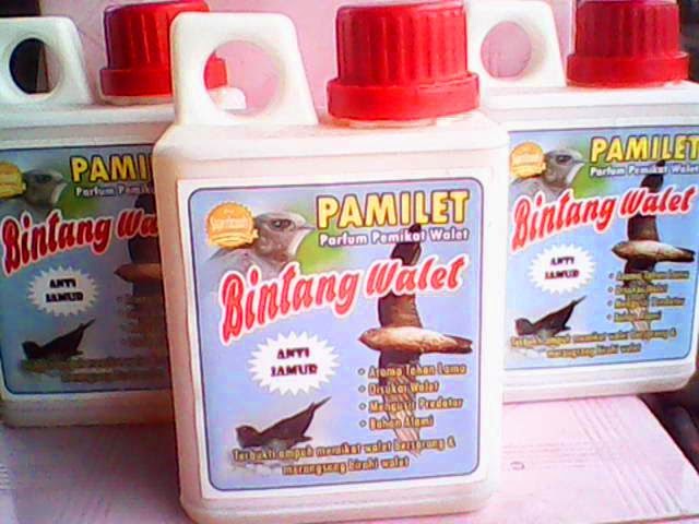 pamilet bintang walet