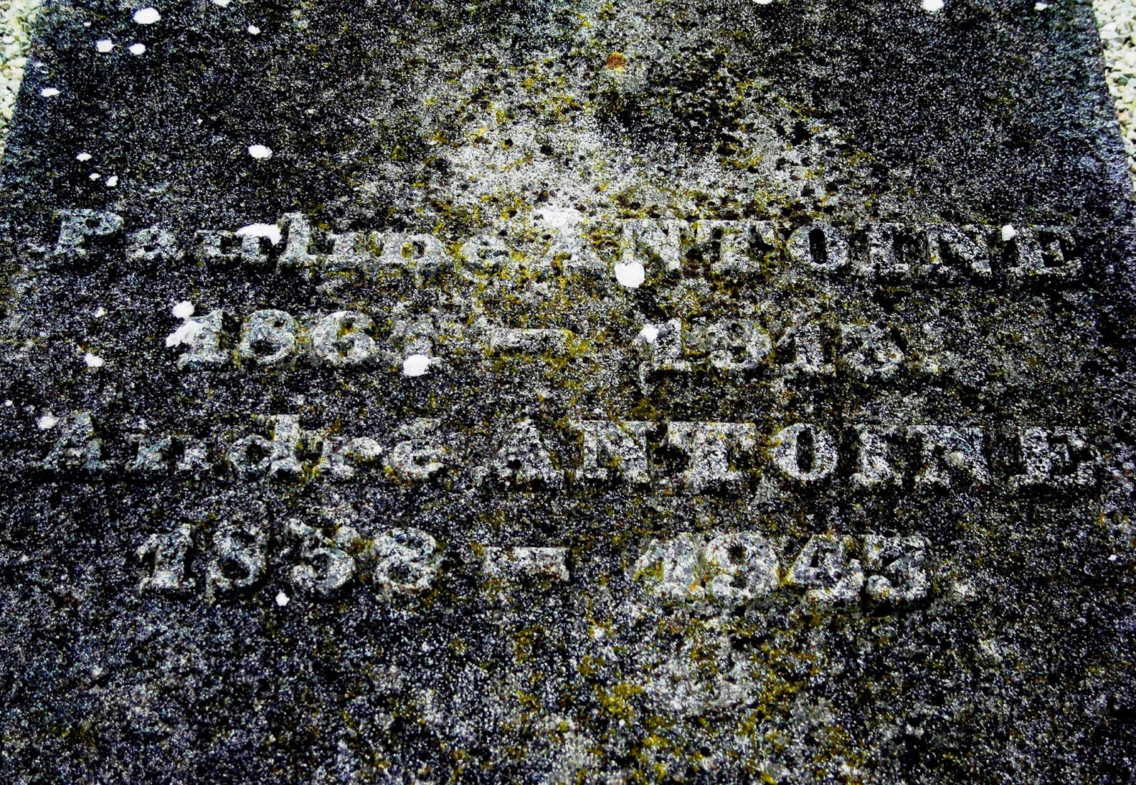 camaret sur mer rencontre femme