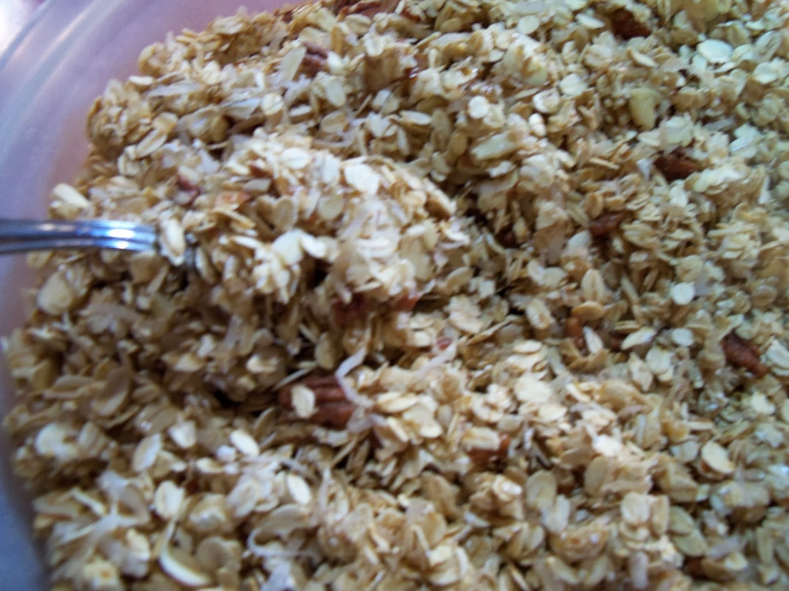 The Blue Spotted Owl Good For You Granola