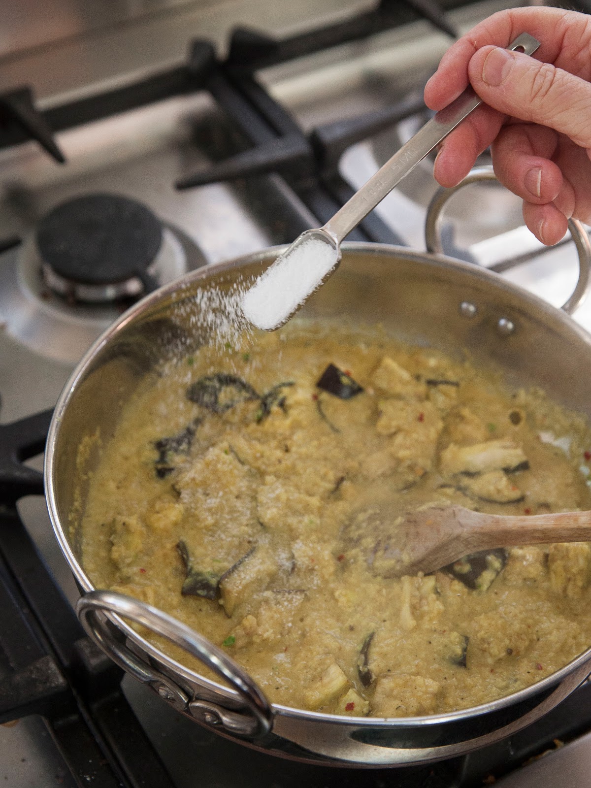 The Colors Of Indian Cooking Fast and Easy, Kerala Style Eggplant