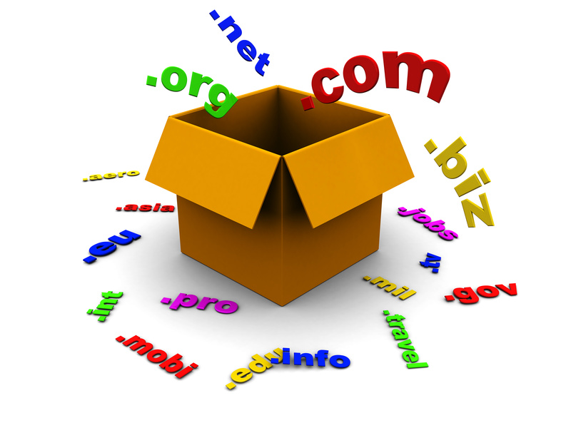 Apa itu dot com?dot biz?dot info? Segala Jenis dot kecuali dota. image-278