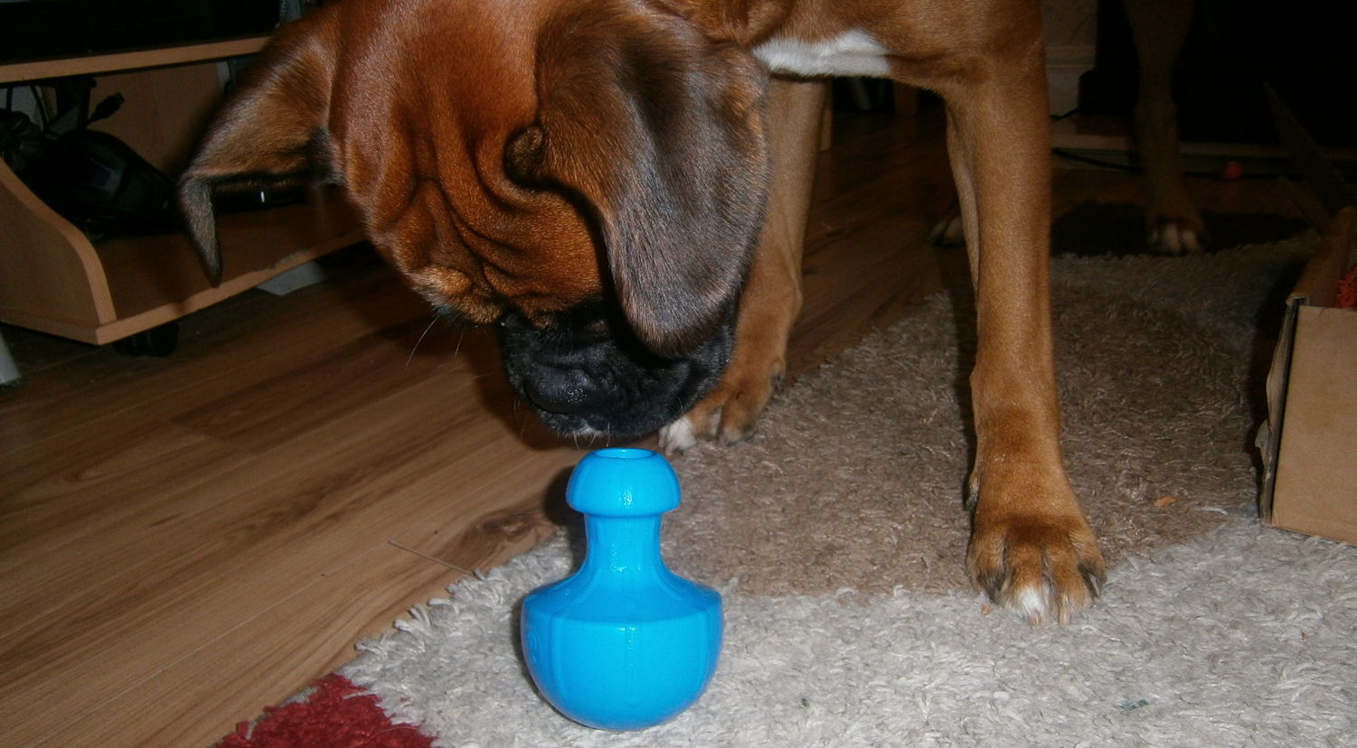 This is me Sarah mum of 3 Pooch Pack Perfect gift for your Pet