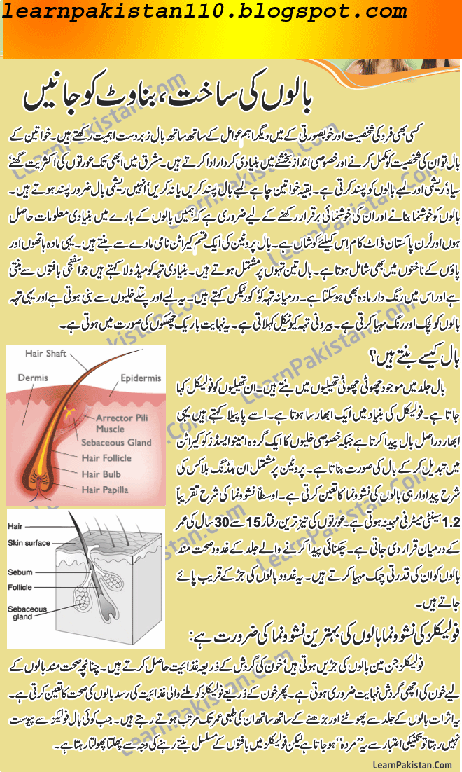 Learnpakistan A Way To Create Hair Long Tips In Urdu