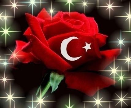 gul resimleri gifleri turk bayrakli gul resimleri askim yazli gul resimleri turk bayragi simdiki genclik