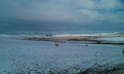 >It Was Scotland Yesterday, Today It’s England And Wales Hit By Heavy Snow, Icy Winds, 50,000+ Lose Power With Damaging Gales