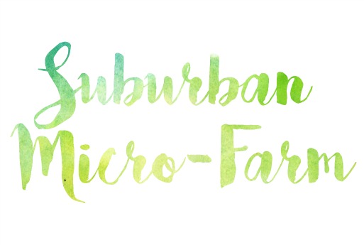 My Suburban Micro-Farm