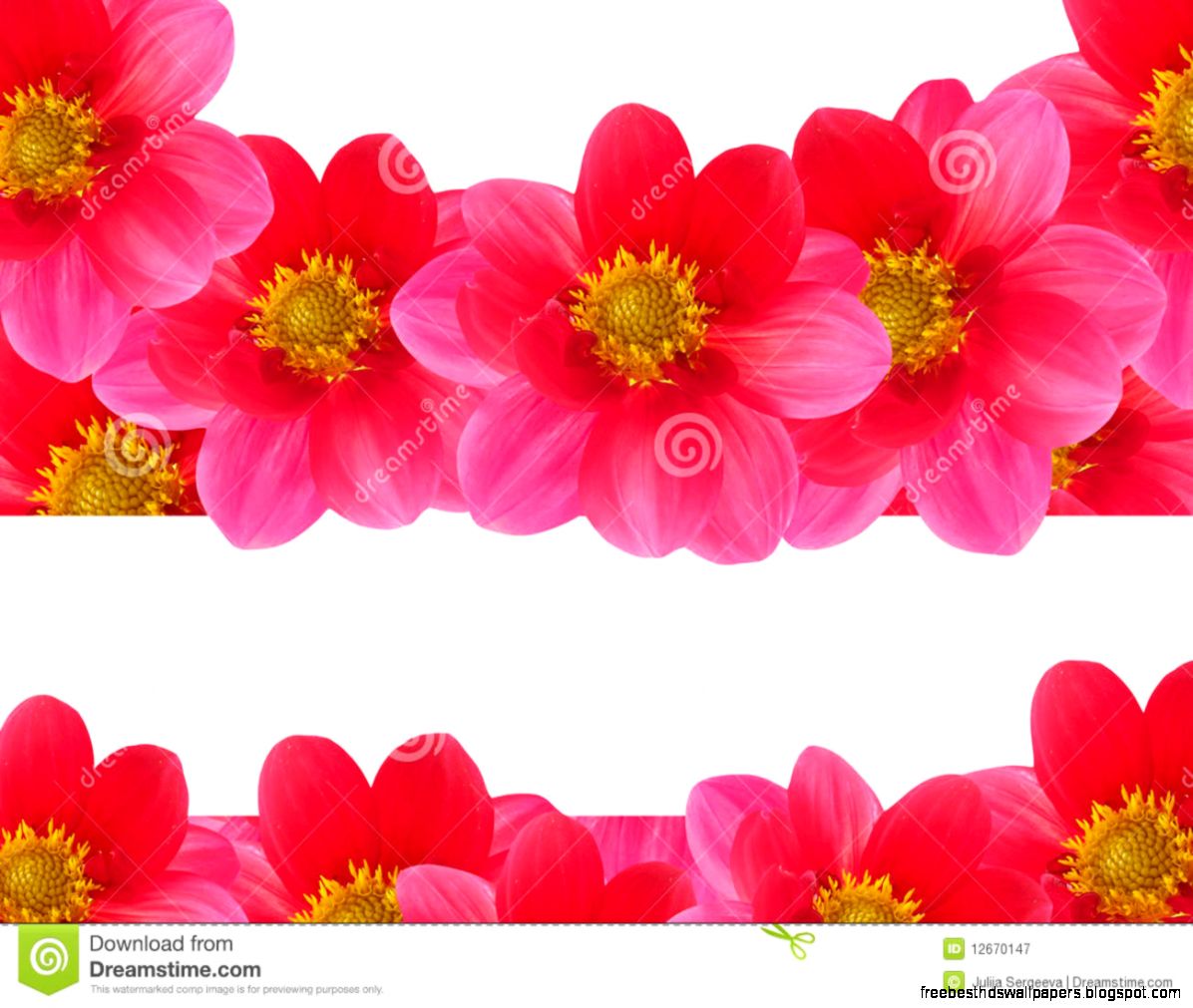 Red Flower with Petals Red Flower with Petals