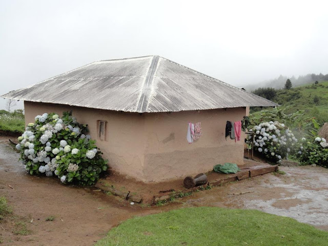 KWETU+PAZURI2.jpg