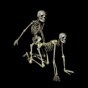 esqueletos_follando