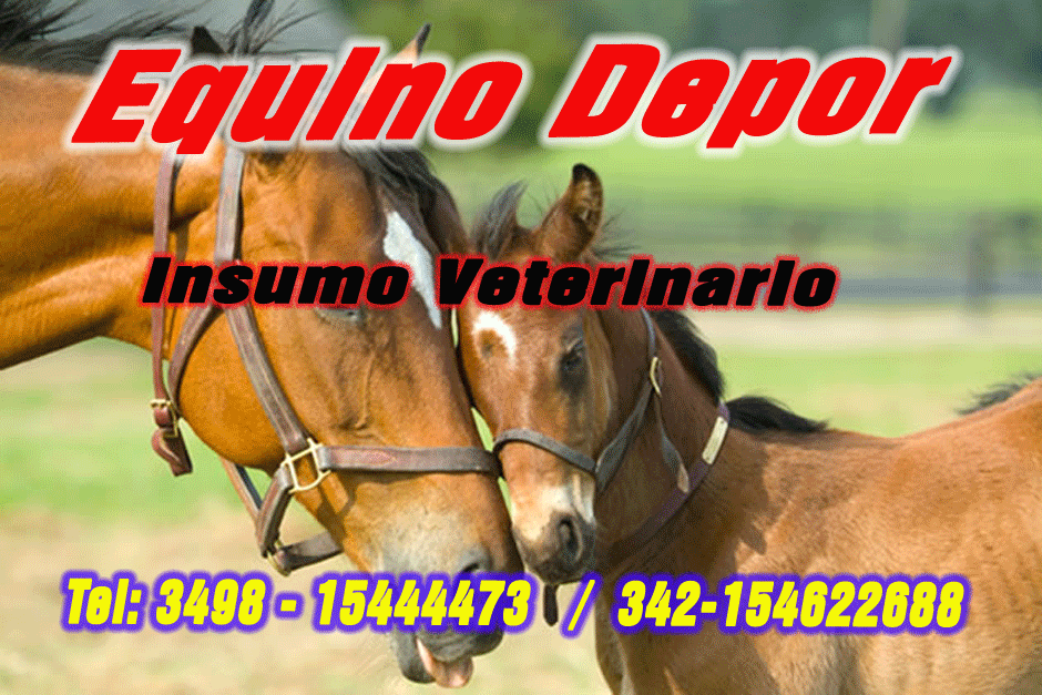 Equino Depor