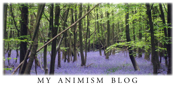 My Animism Blog